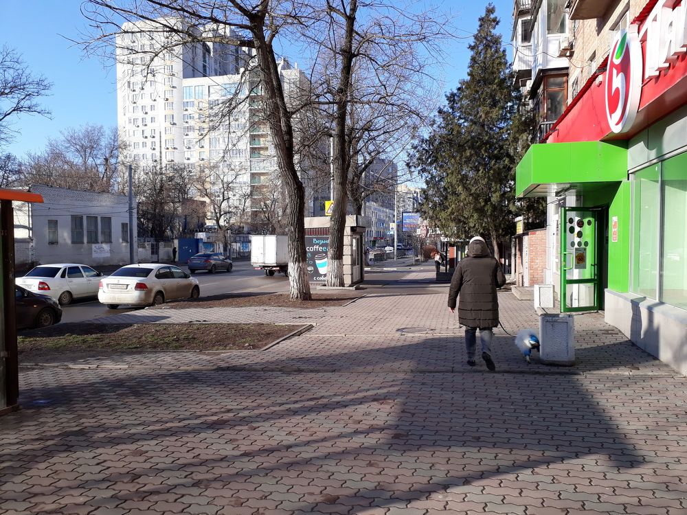 Сеня на прогулке