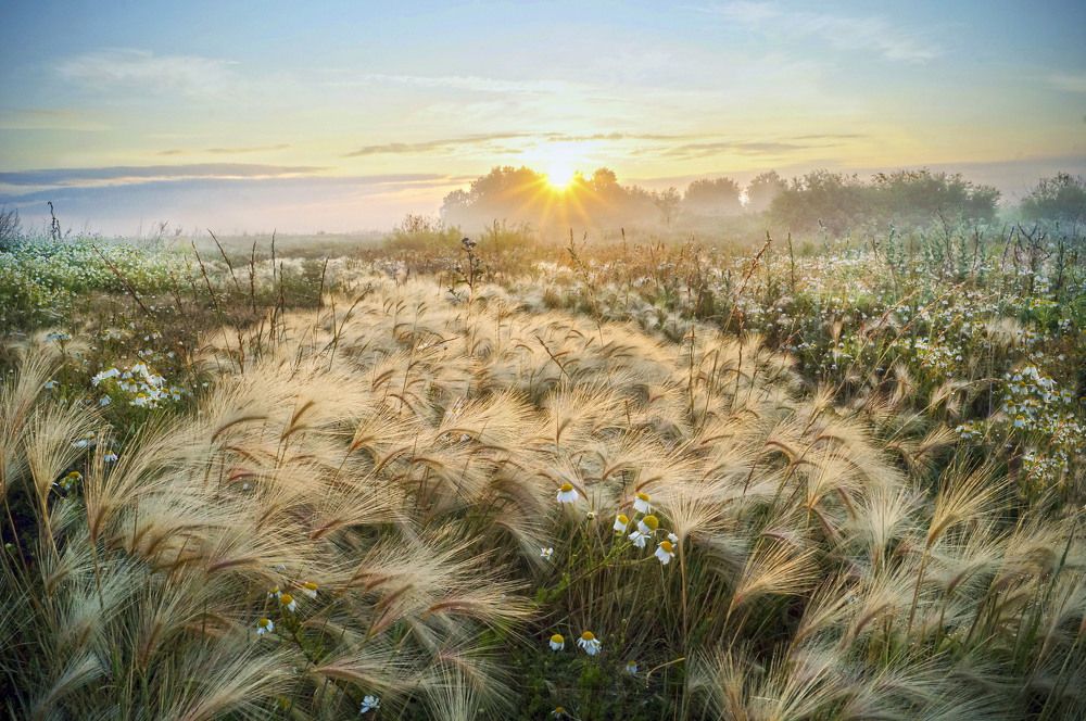 Photograph by Мишустина Татьяна