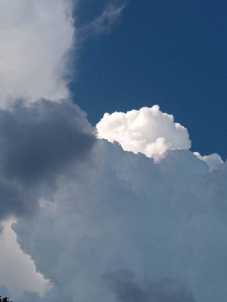 Photograph by Татьяна Пальчикова