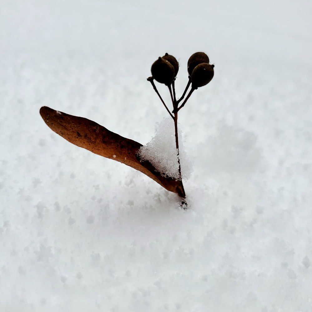 Photograph by Наталья Светлова