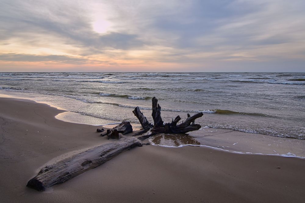 Photograph by Albina Kulikova