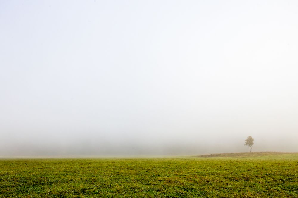 Photograph by Сергей Ларин