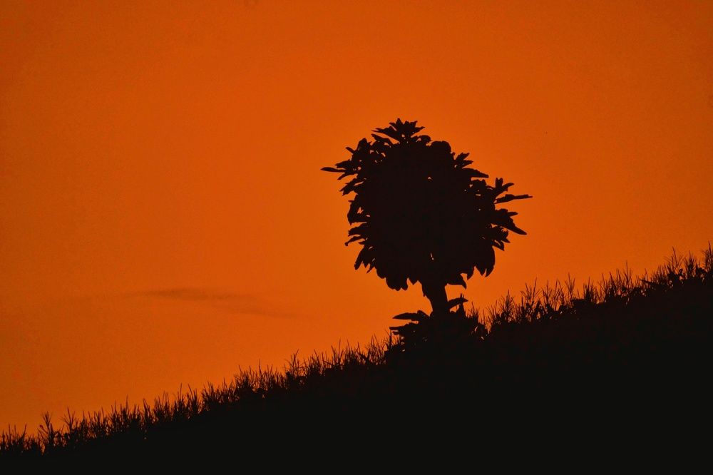 Фотография автора afran afan