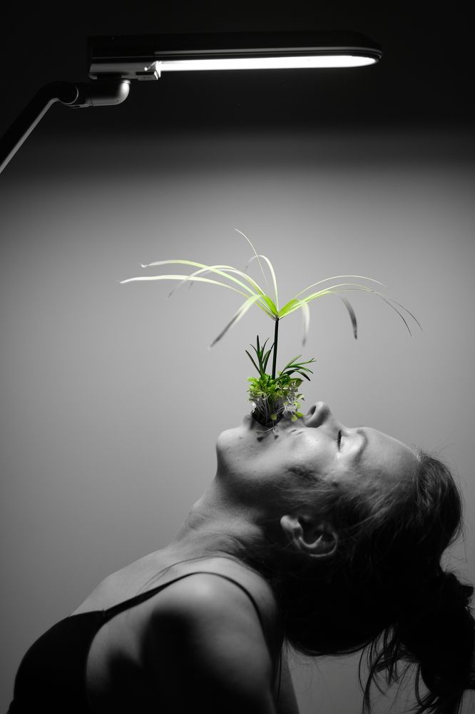 Фотография автора Максим Егоров