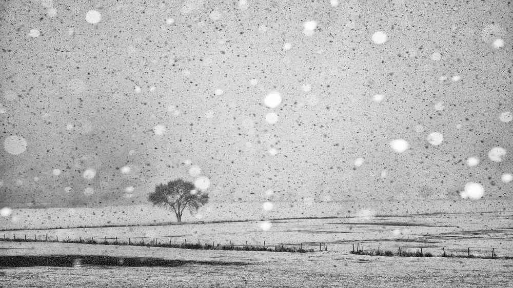 Photograph by Bekir Yesiltas