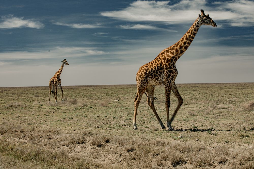 Photograph by Justyna Dziegiec