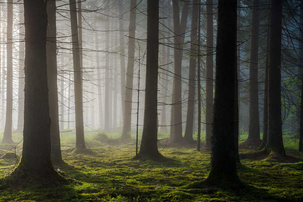 Photograph by Руслан