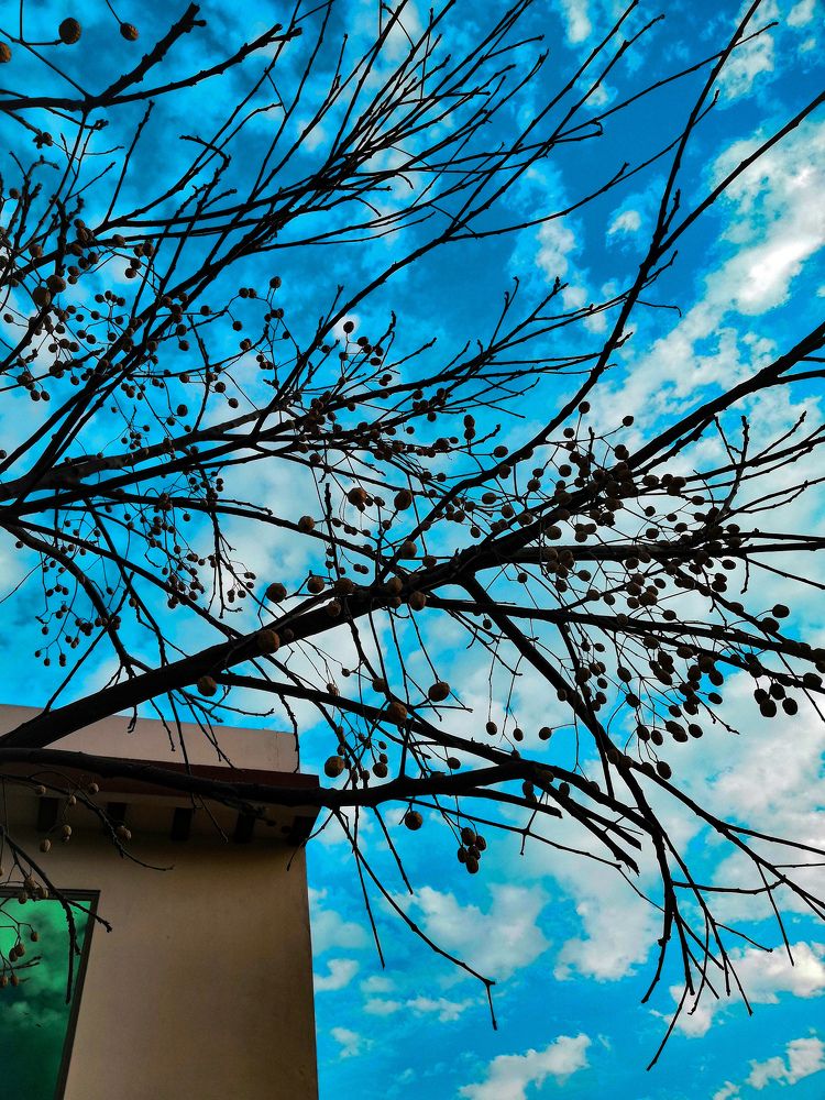 Sky adds Beuty