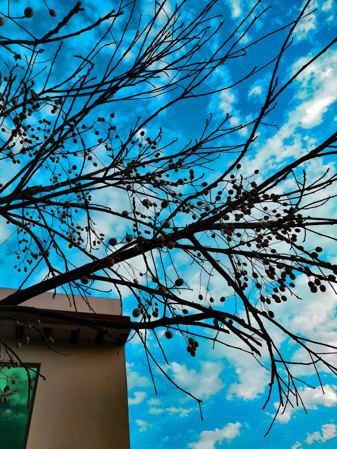 Sky adds Beuty