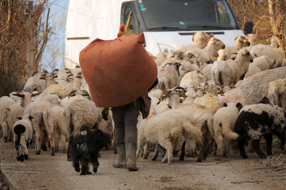 Photograph by Marius Lauruc