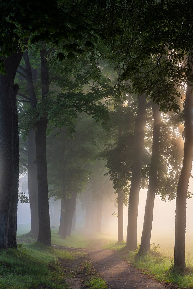 Photograph by Руслан