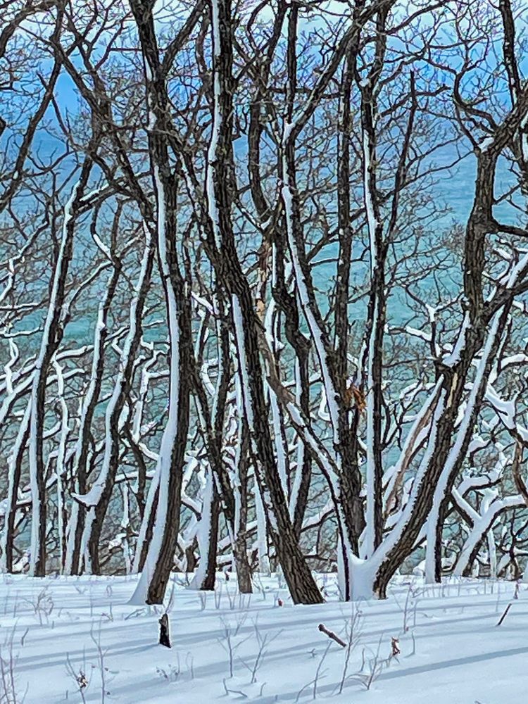 Photograph by Марина Маликова