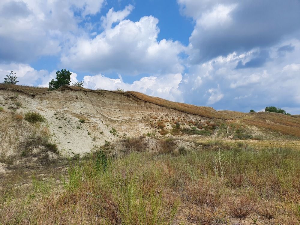 Фотография автора Надежда Лисицына