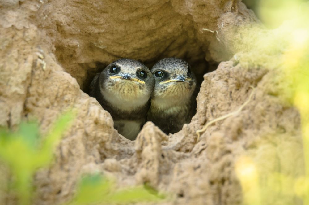 Photograph by Ксения Соварцева