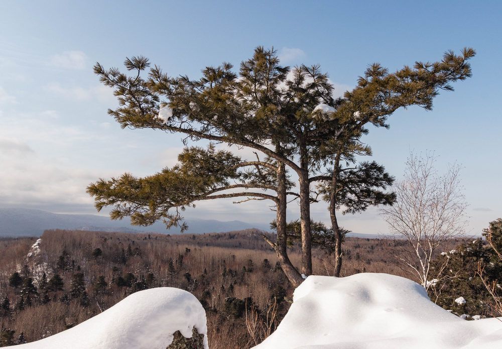 Зимний день