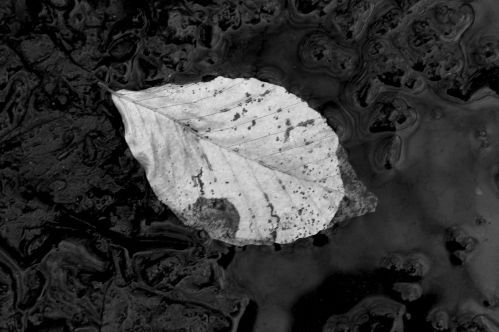 Photograph by Yavuz Sandıkcıoğlu