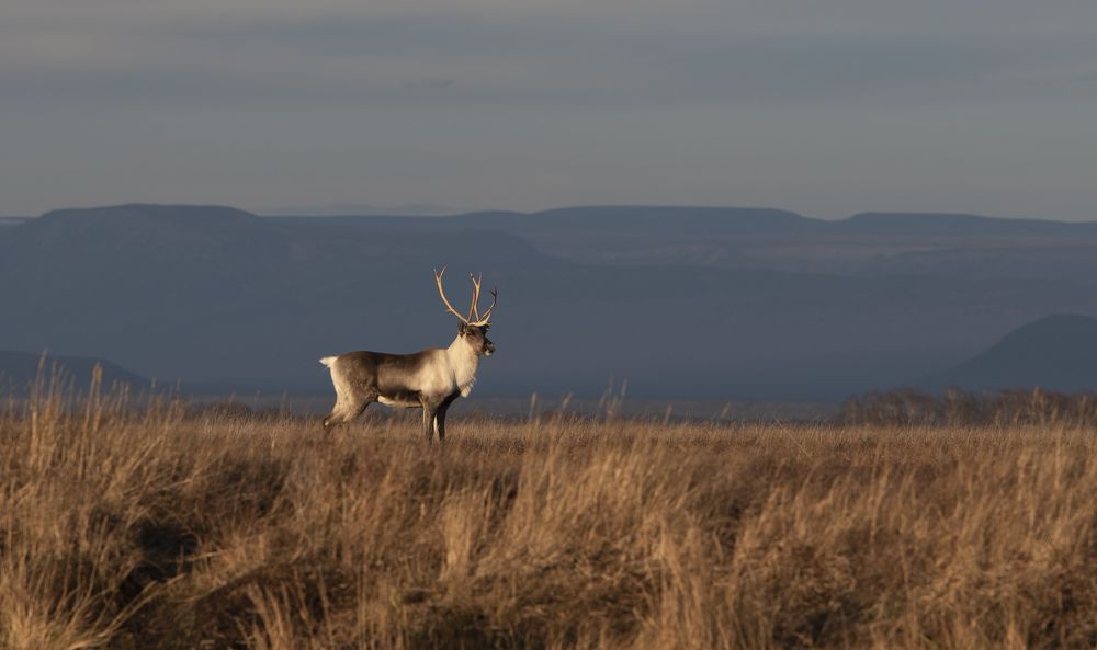 Photograph by Анна Елисеева