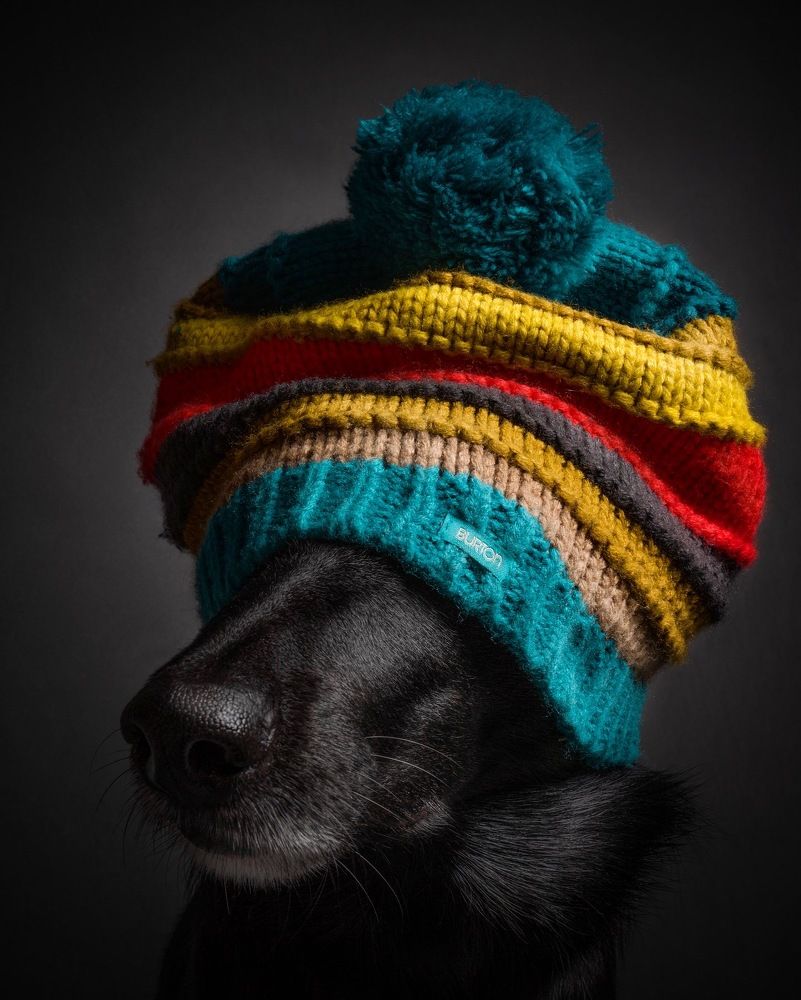 Photograph by Vladimir Smaženka