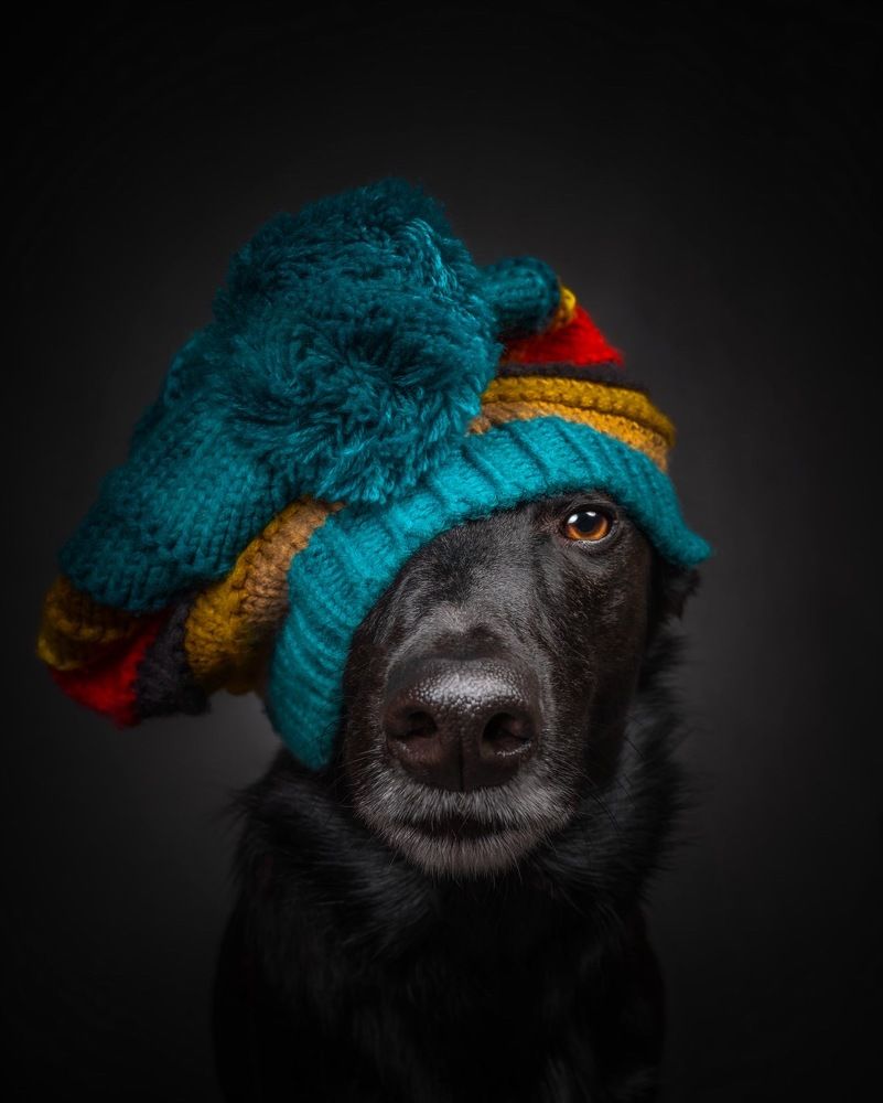 Photograph by Vladimir Smaženka