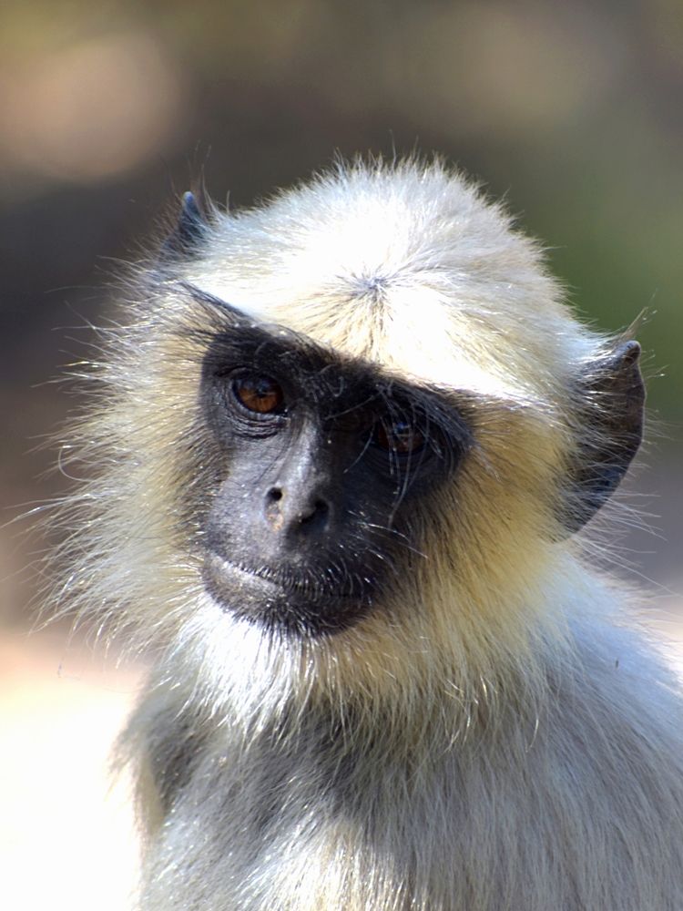 Photograph by V.l. Karthikeyan