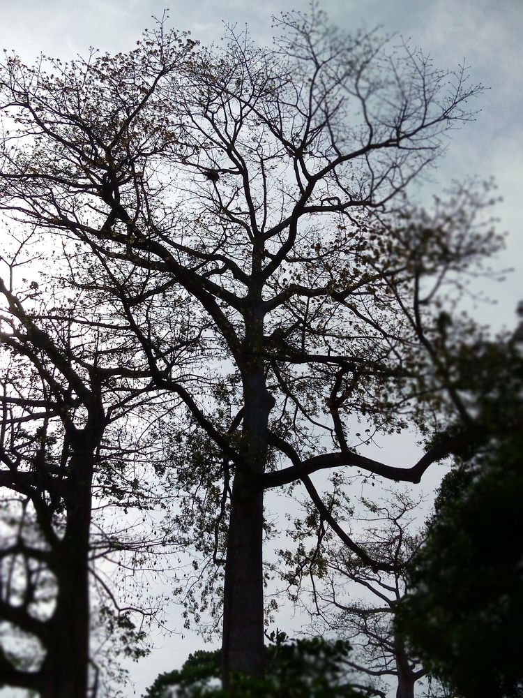 Фотография автора Ohouo Philippa Stéphanie