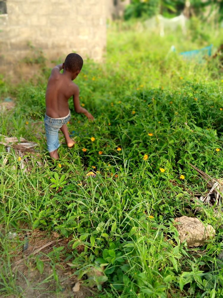 Фотография автора Ohouo Philippa Stéphanie