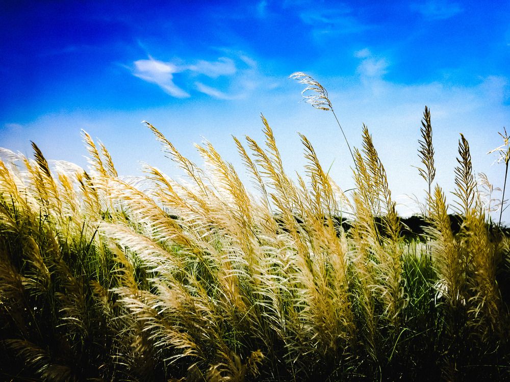 Photograph by Abhijeet Kulkarni