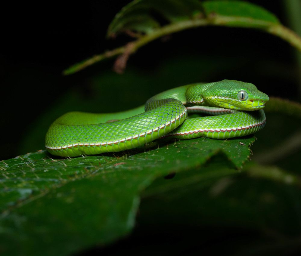 Photograph by Ryan Hevern