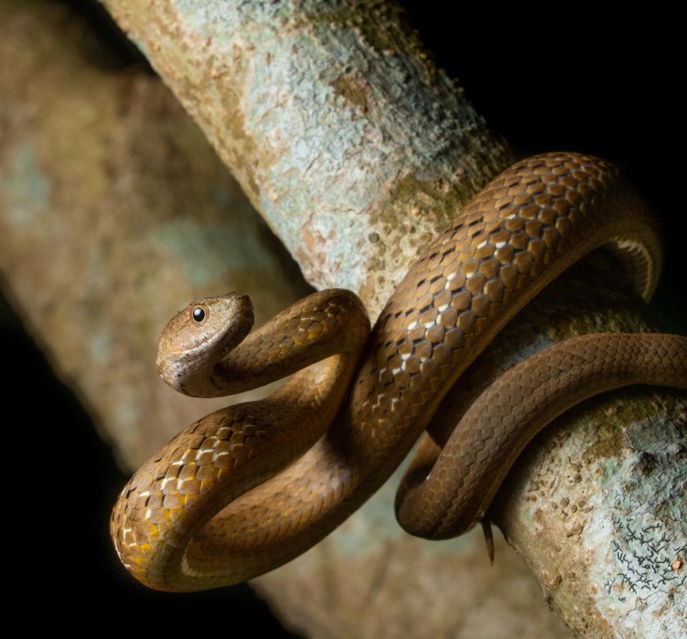 Photograph by Ryan Hevern