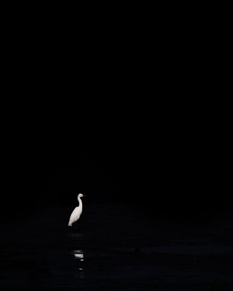 Solitary