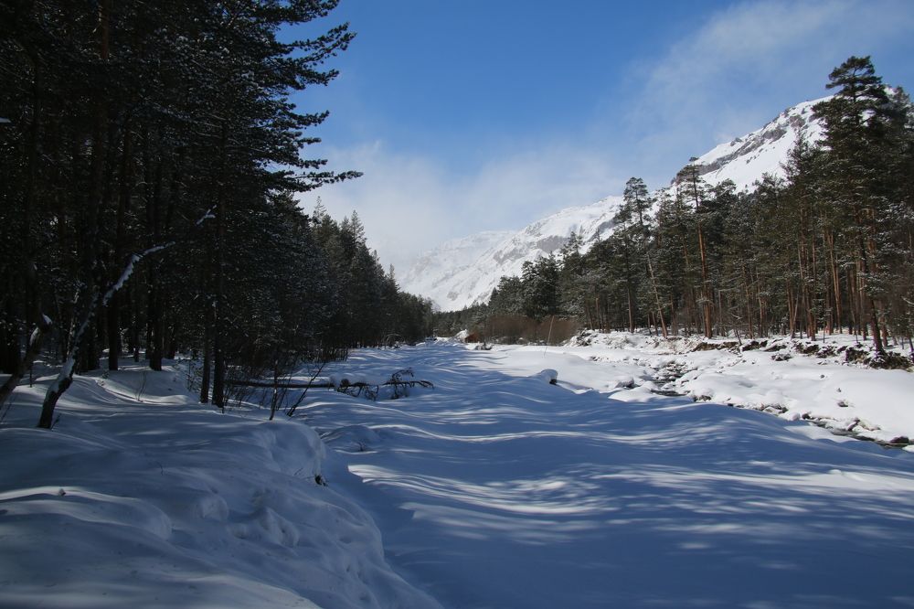 Photograph by Мария Баннова