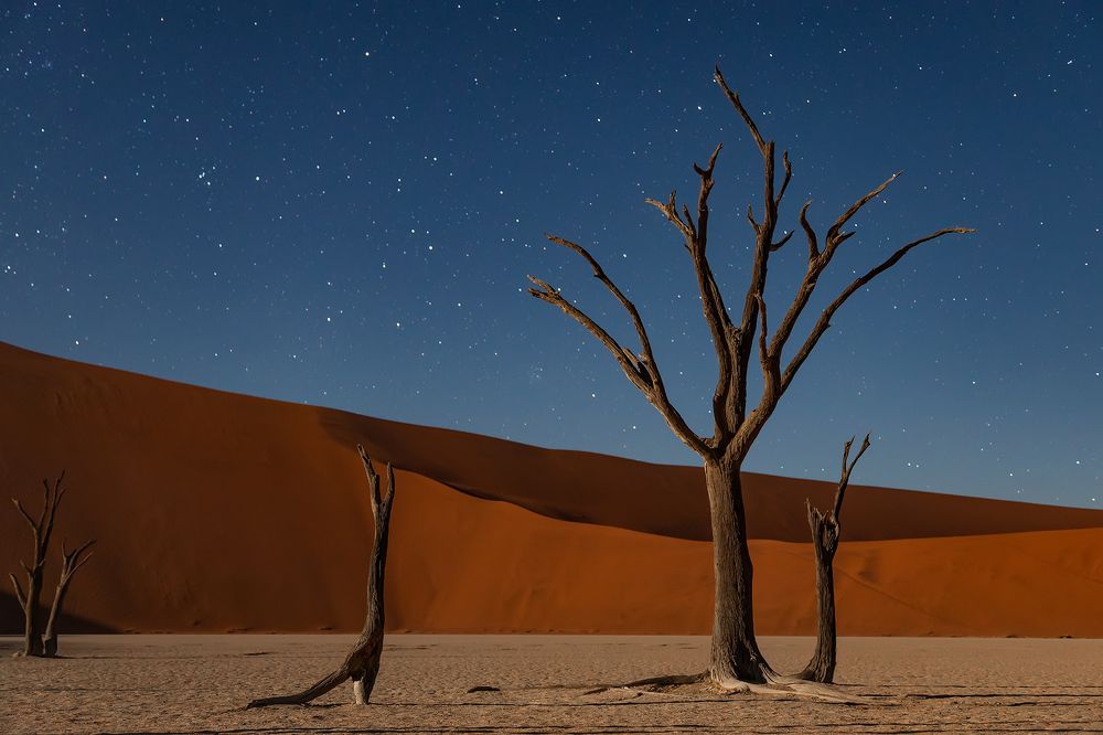 Photograph by Александр Ипполитов