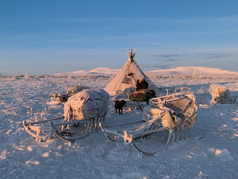 Photograph by Марина Маликова