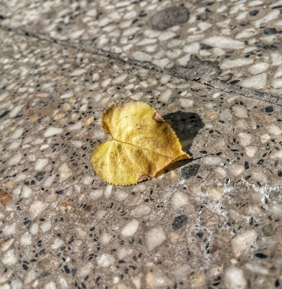 Photograph by Said Hussain Emran