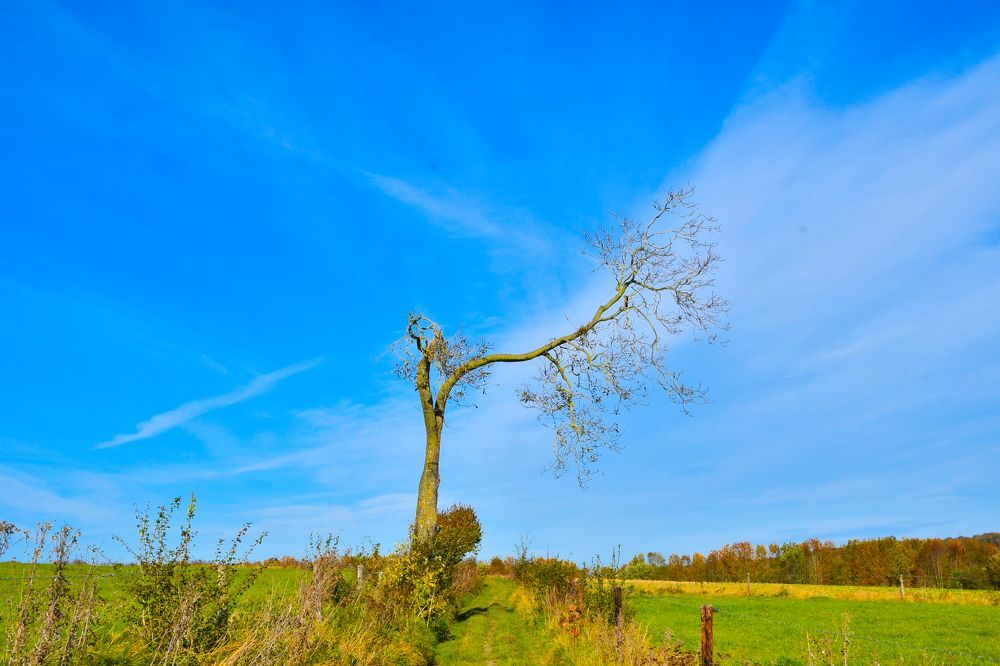 Photograph by Guido Wouters