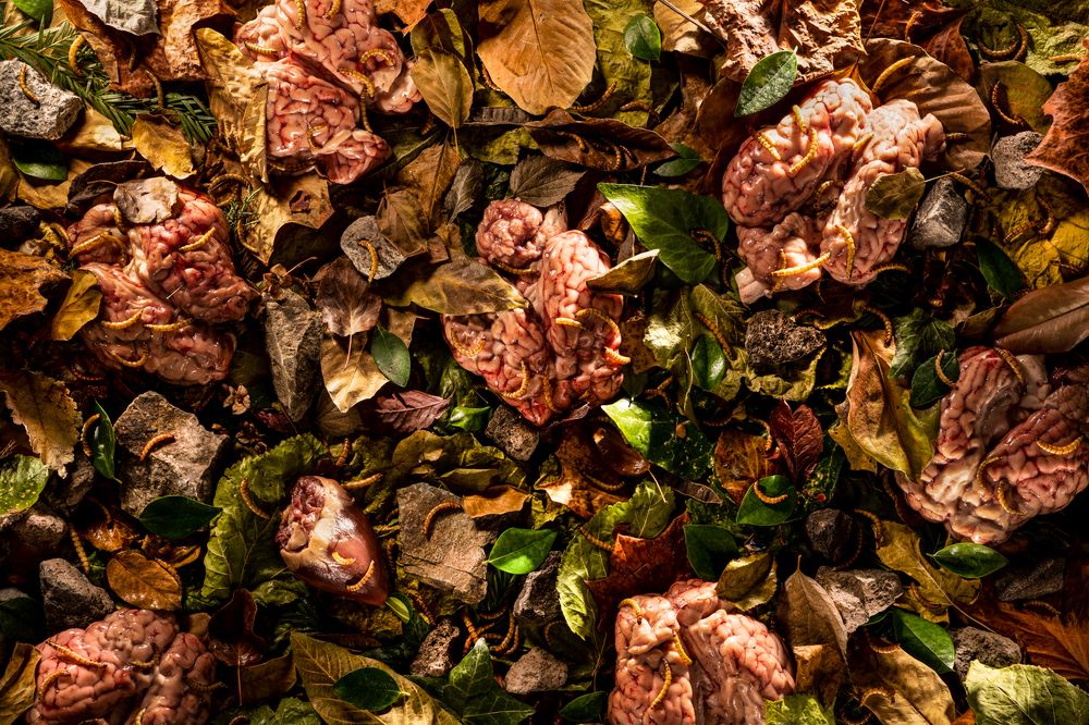 Photograph by elnaz taassob