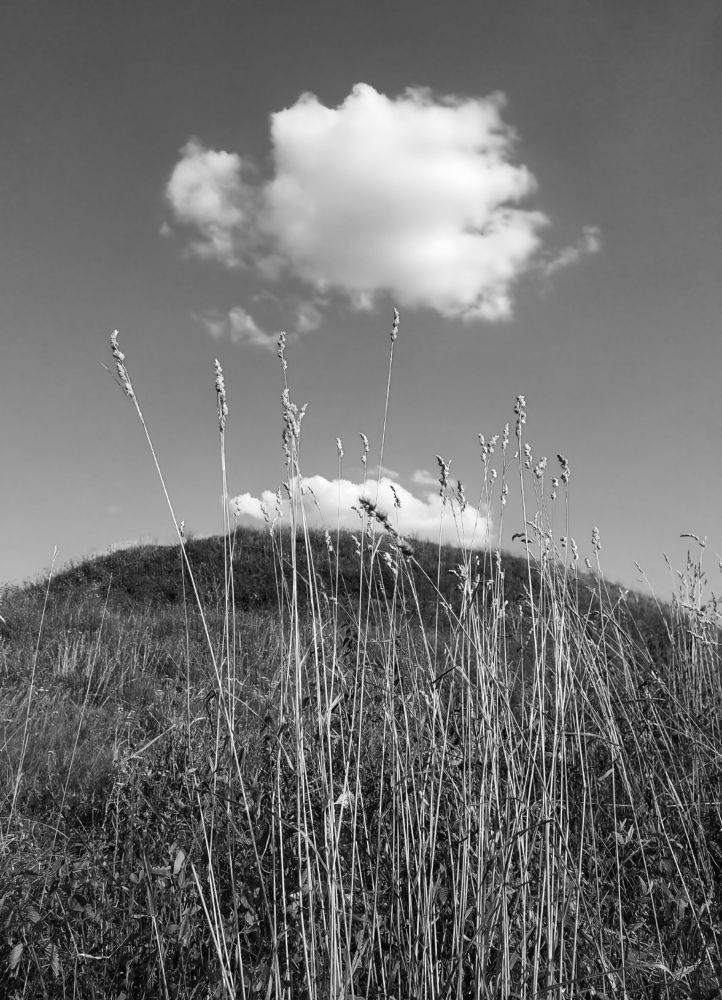 Дотянись до облаков, до неба.