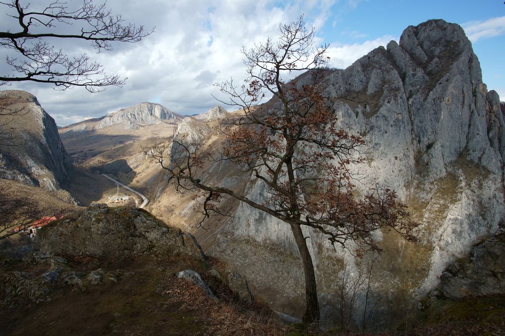 Photograph by Marius Lauruc