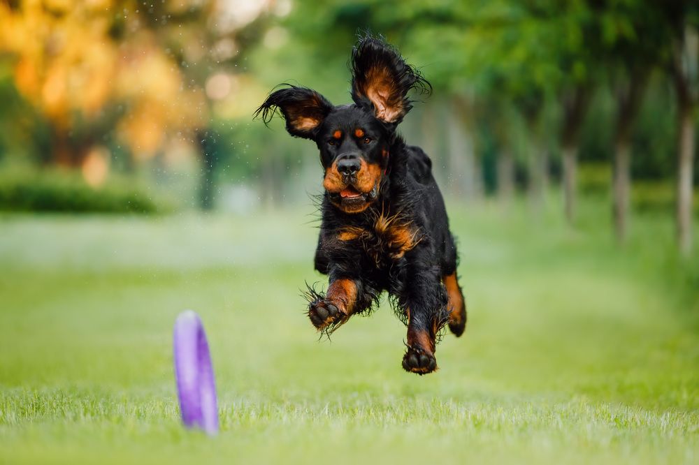 Photograph by Марина Плевако