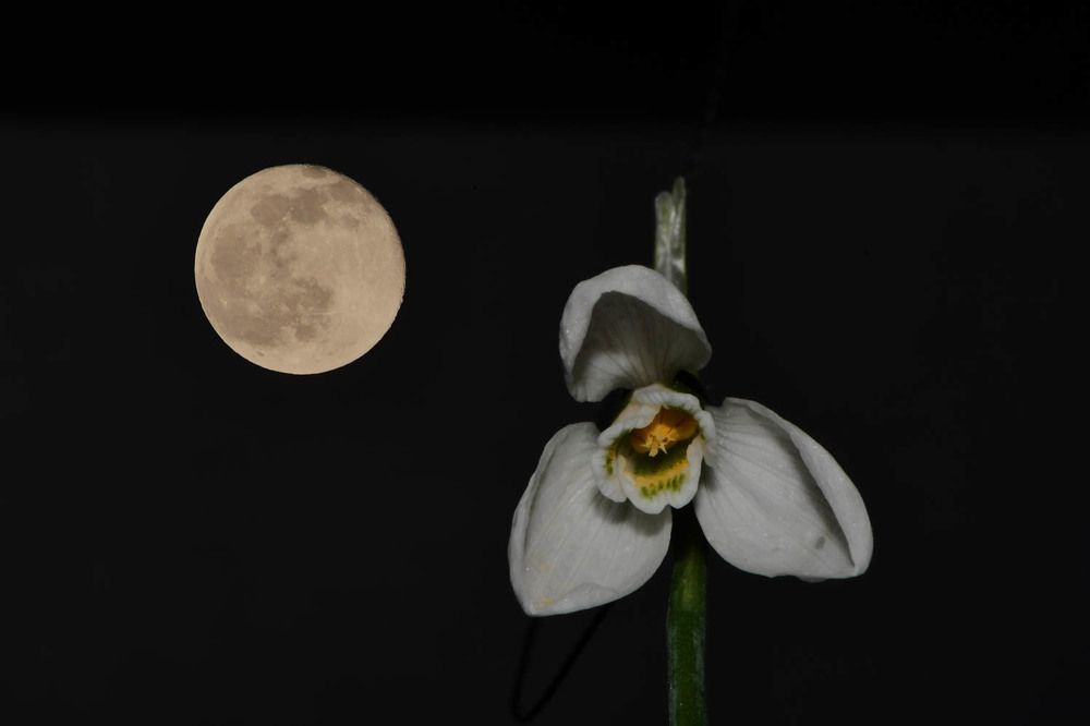 Photograph by Guido Wouters