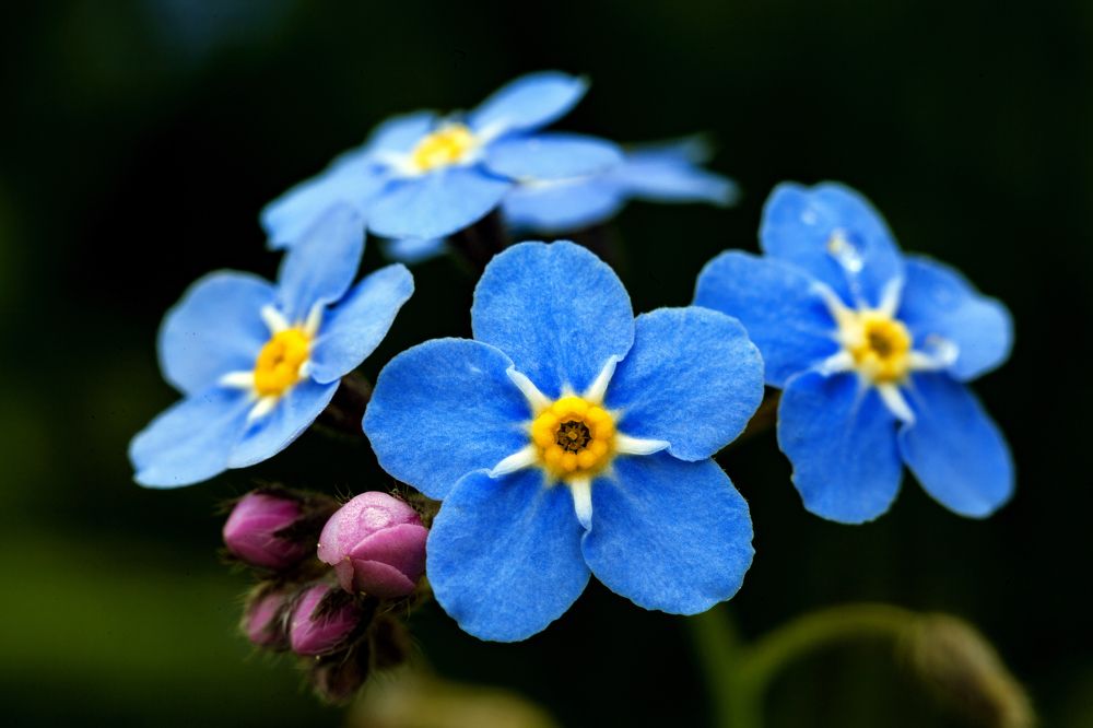 Photograph by Айвар Удрис