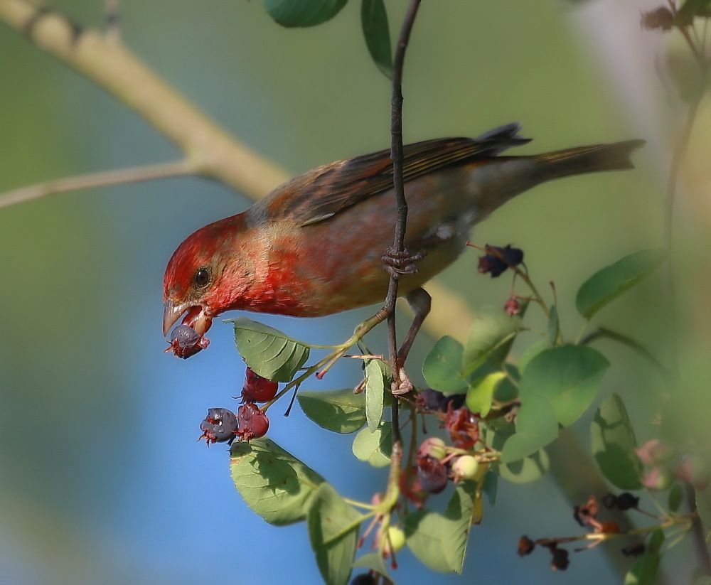Photograph by Андрей Брагин