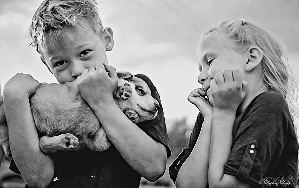 Photograph by Татьяна Шандромайло