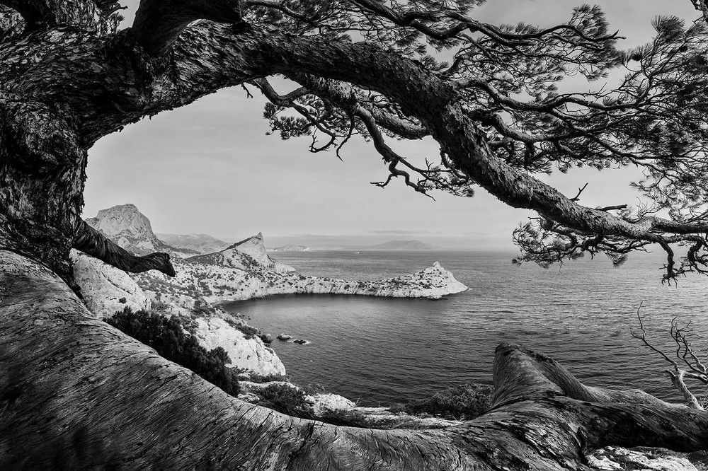 Photograph by Моисеева Надежда