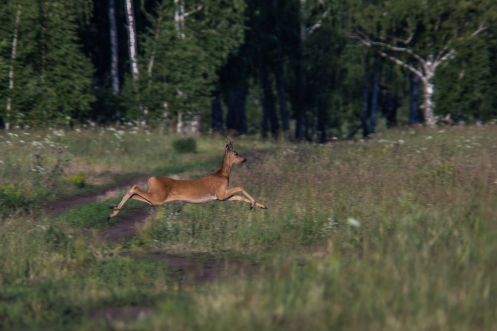 Photograph by Глеб