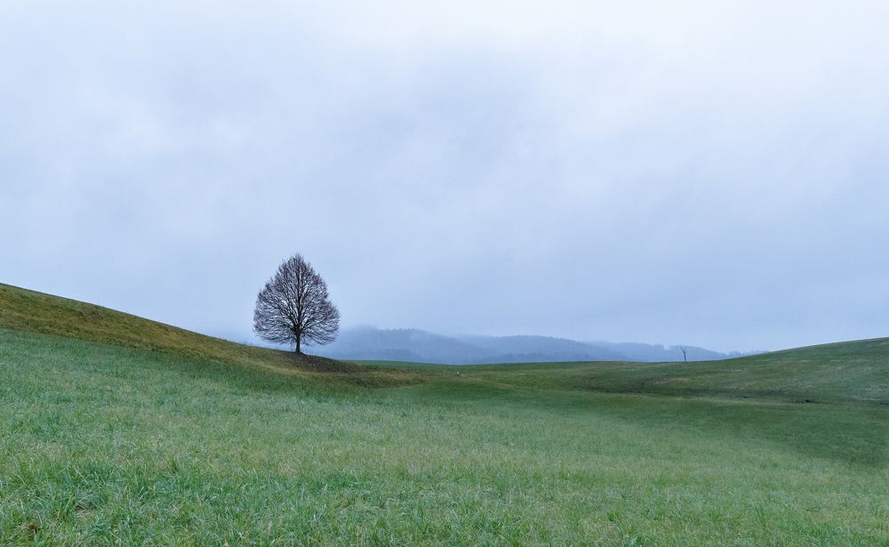 Photograph by Юрий Иванчук