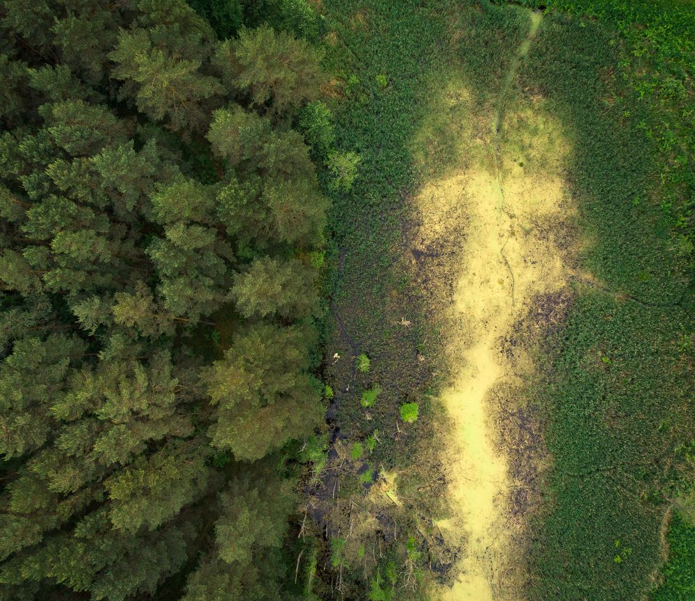 Photograph by Дмитрий Котов