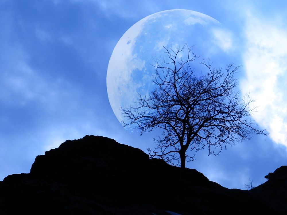 Фотография автора Mahdi Mohammadi