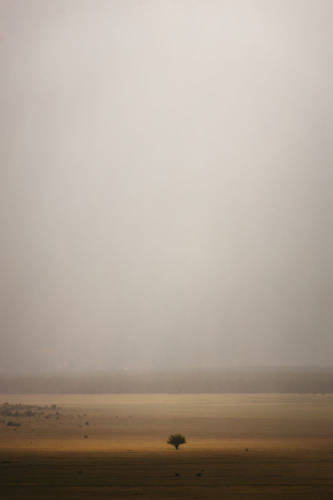 Photograph by Amadeja Knez