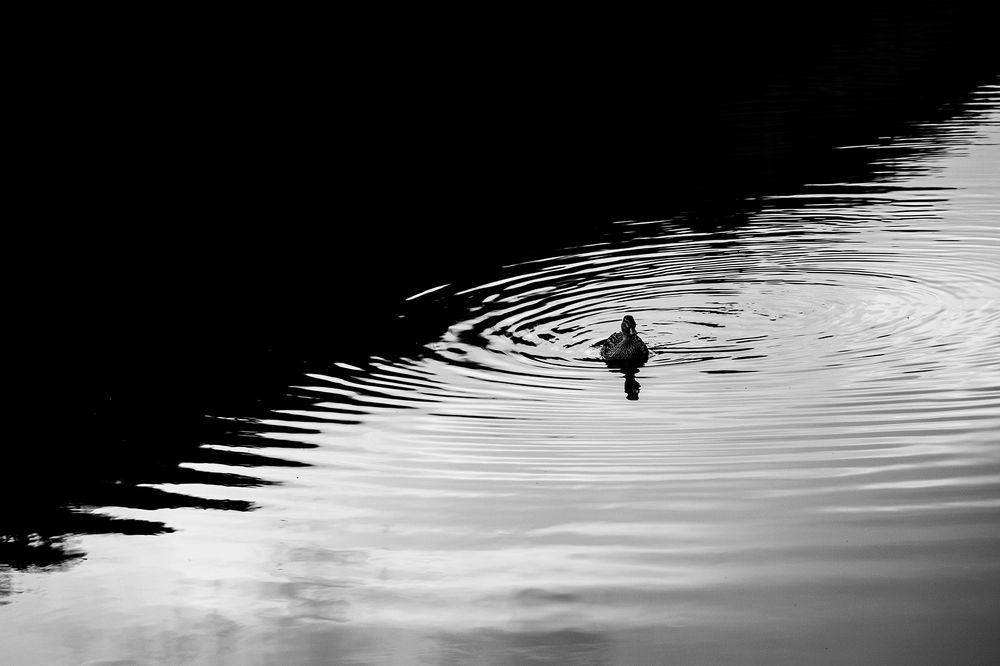 Photograph by Ersin Türk